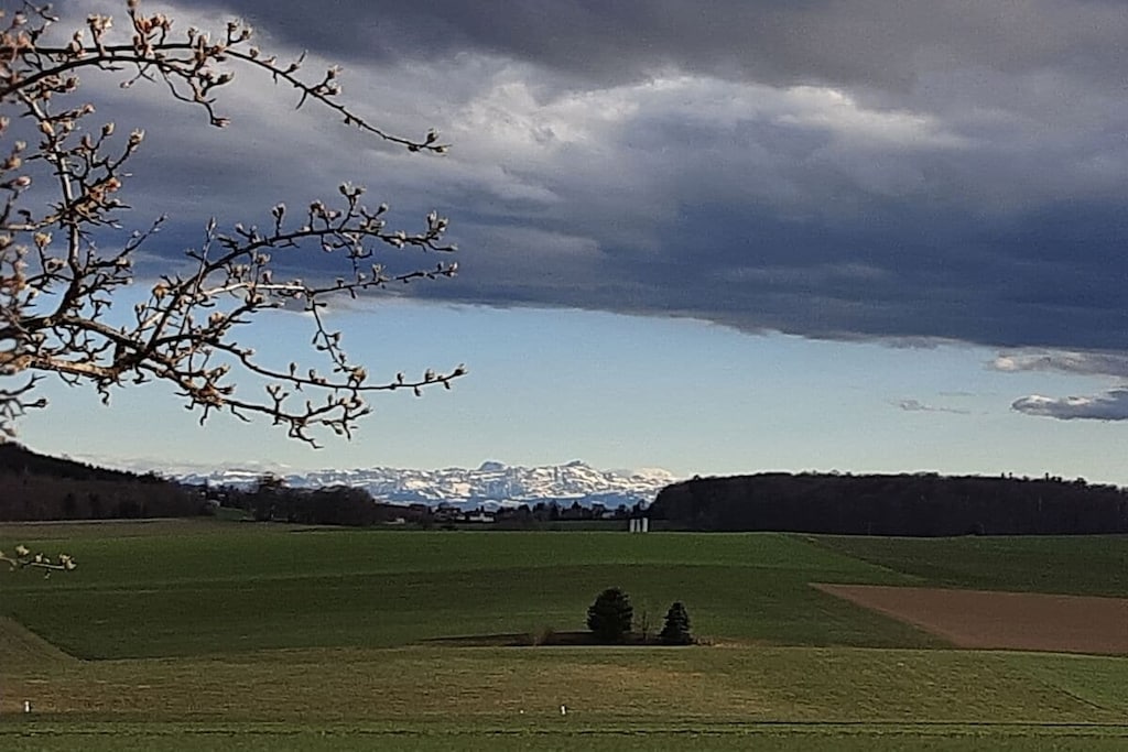 535621 - Nicht zugeordnet