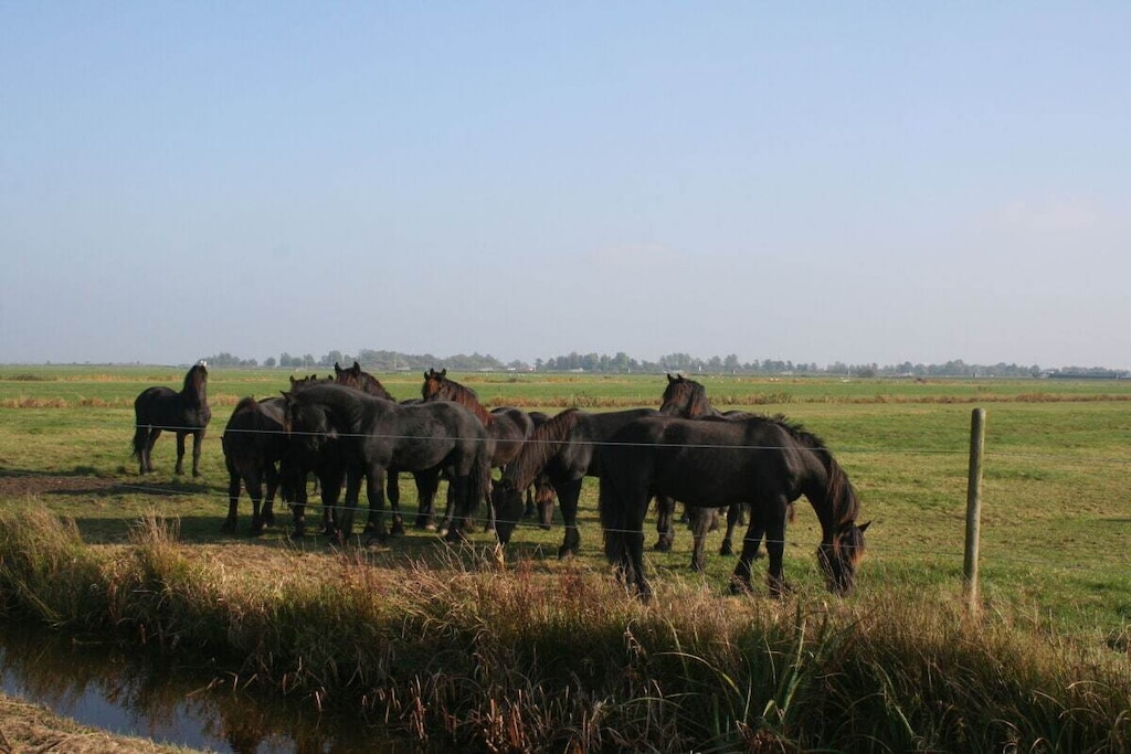 535626 - Niet-getagd