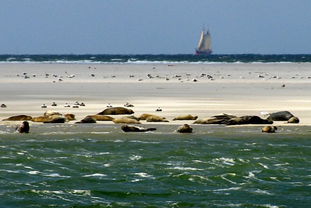 390062 - Niet-getagd