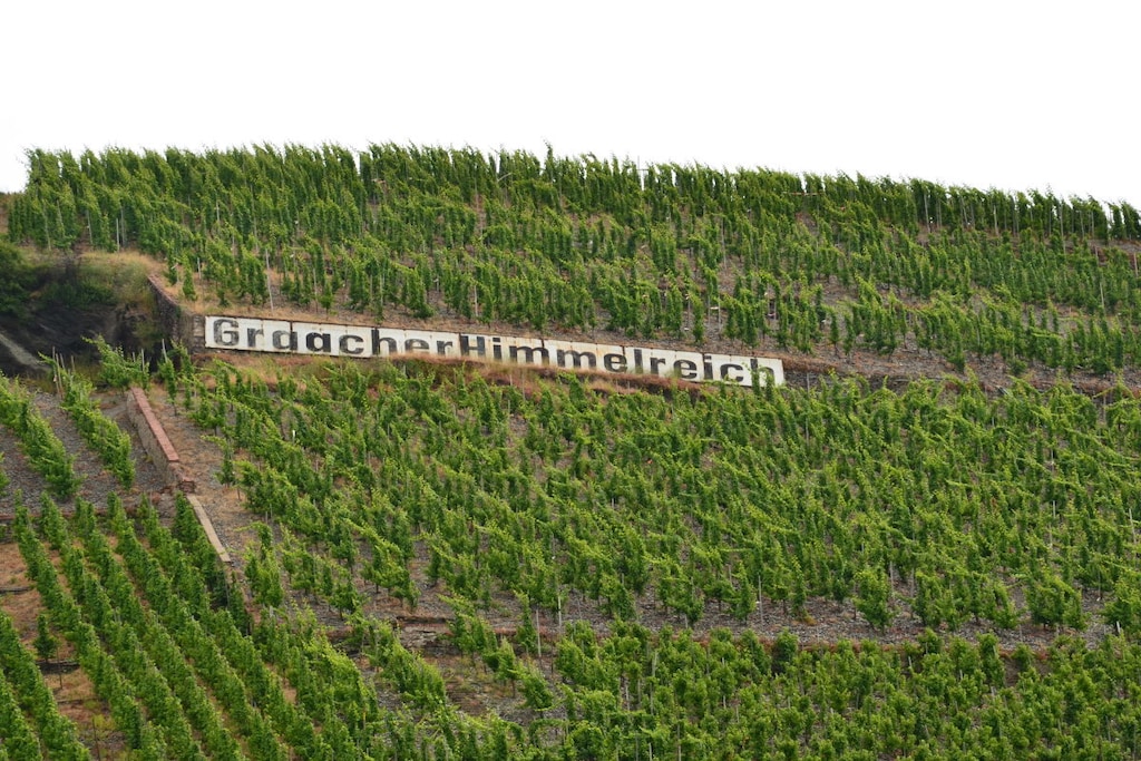 222818 - Nicht zugeordnet