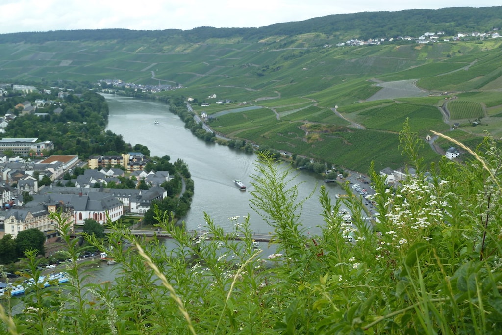 222818 - Nicht zugeordnet