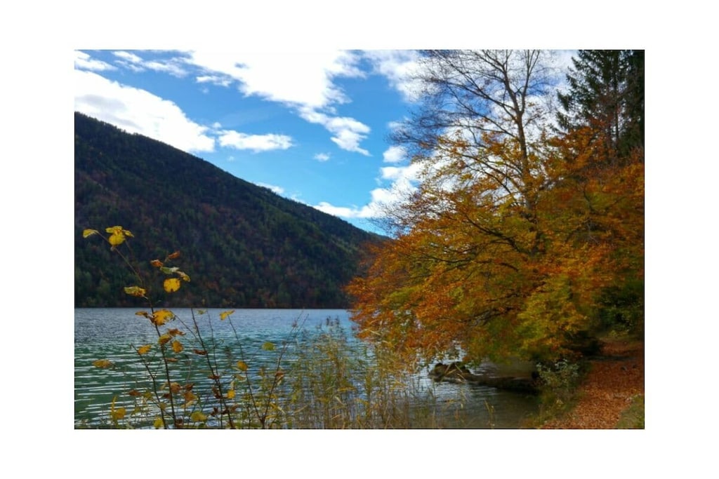 129102 - Nicht zugeordnet