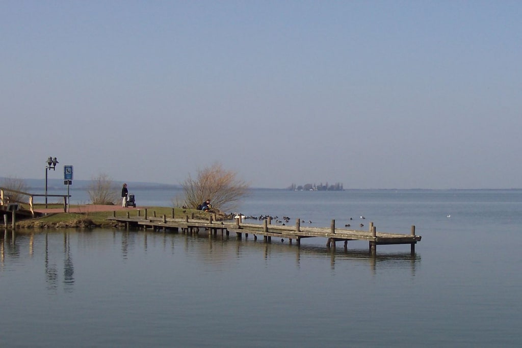 50570 - Niet-getagd