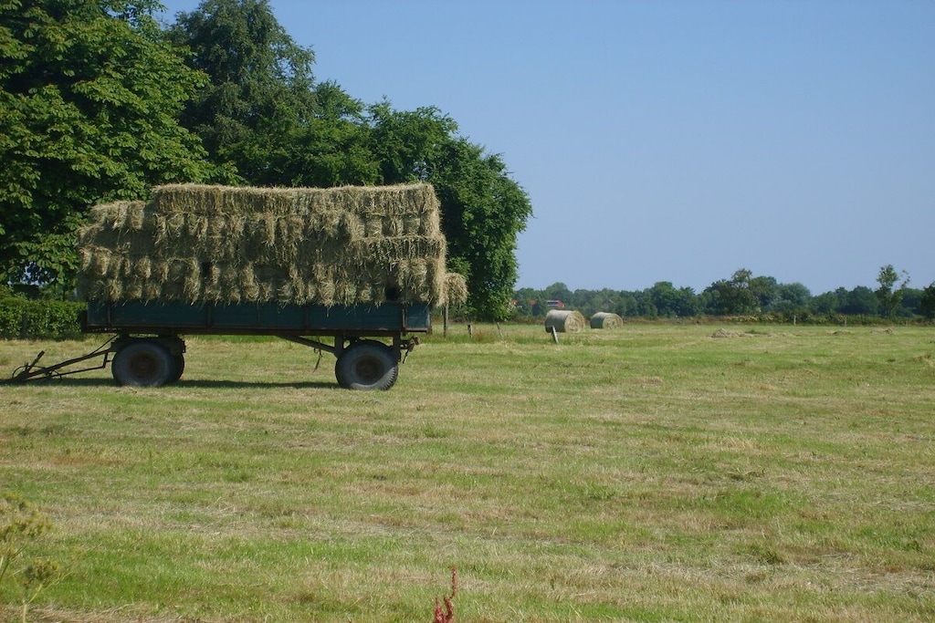 320065 - Nicht zugeordnet