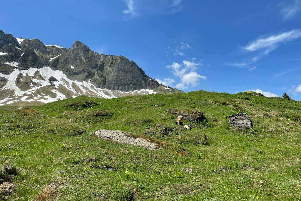 431445 - Nicht zugeordnet