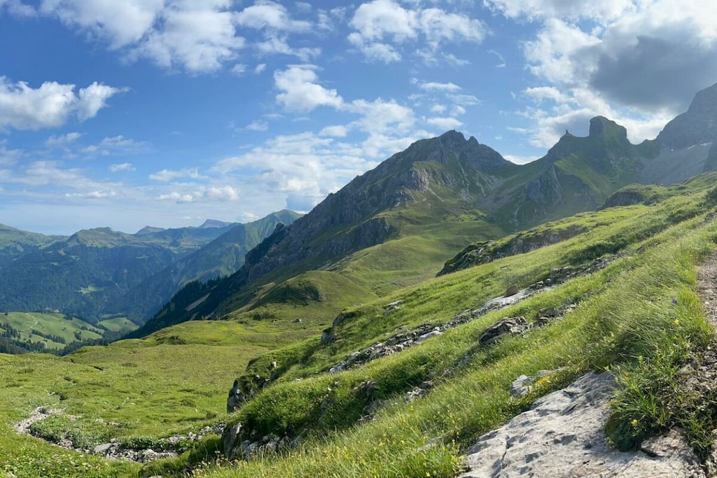 431445 - Nicht zugeordnet