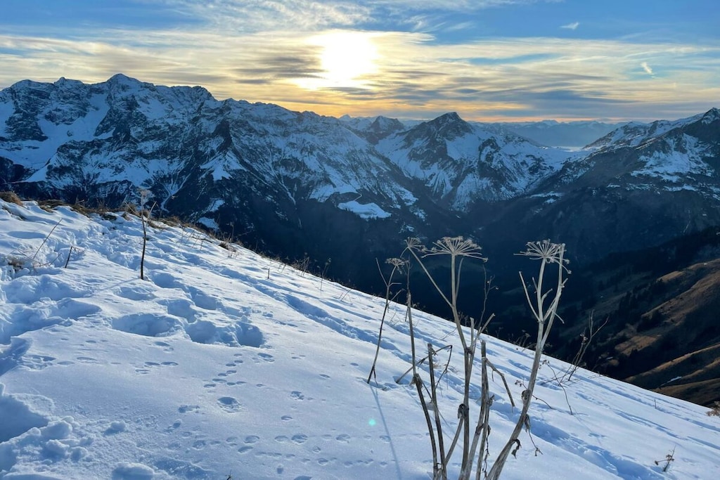 431445 - Nicht zugeordnet