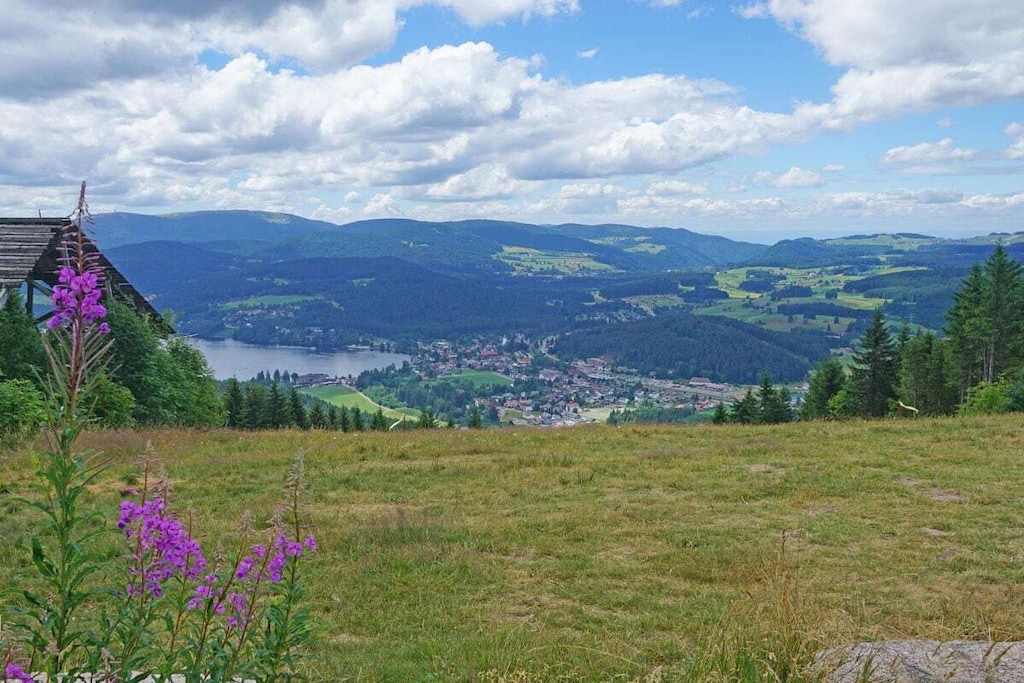 258811 - Nicht zugeordnet