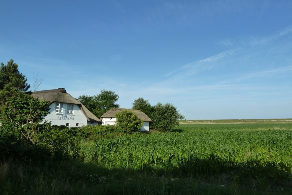 45897 - Niet-getagd