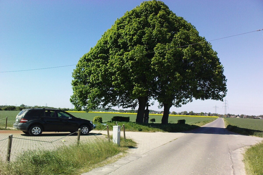 37941 - Niet-getagd