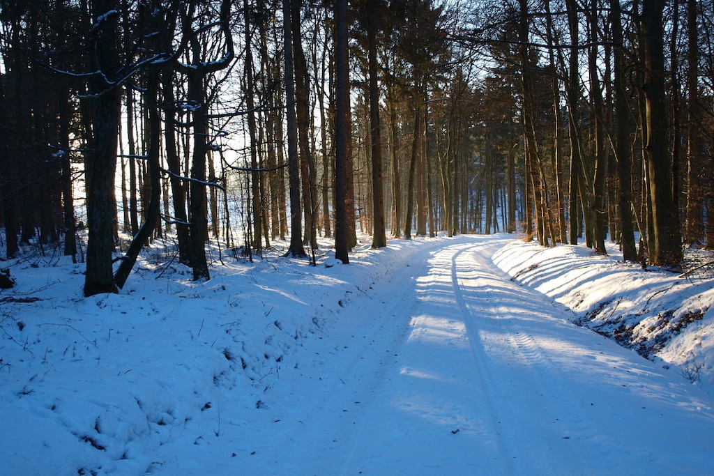 265367 - Niet-getagd