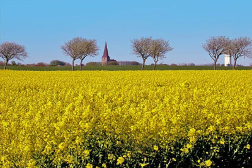 56399 - Niet-getagd