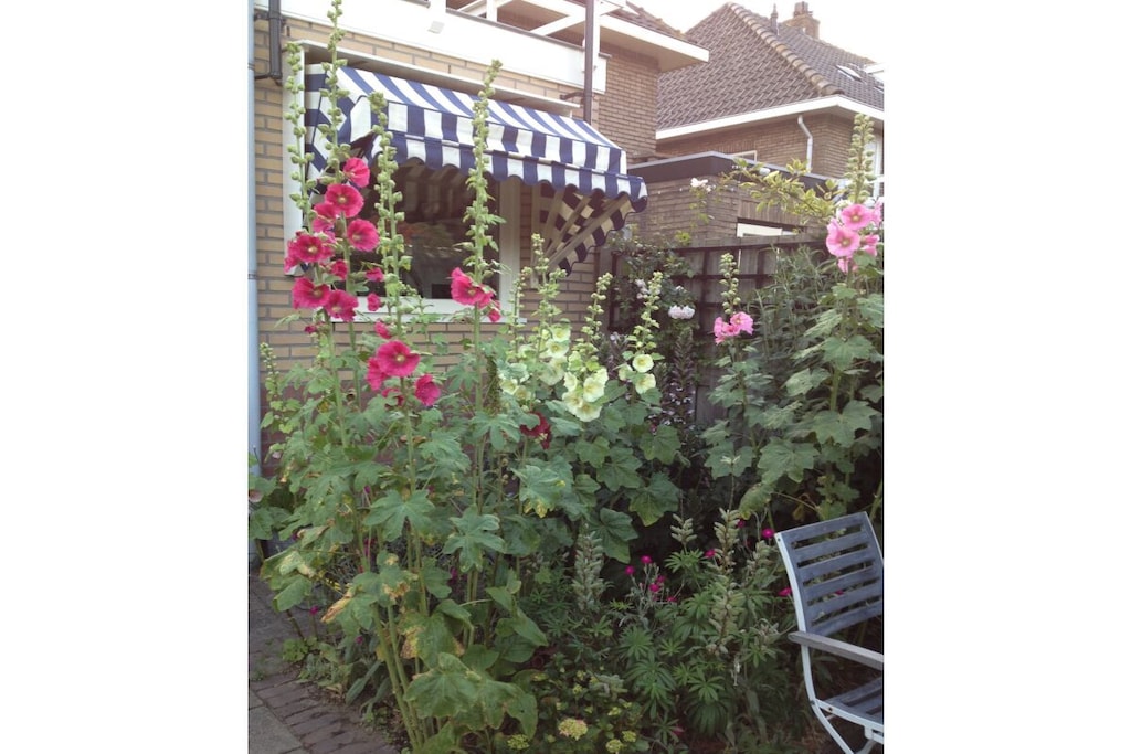 395172 - Niet-getagd