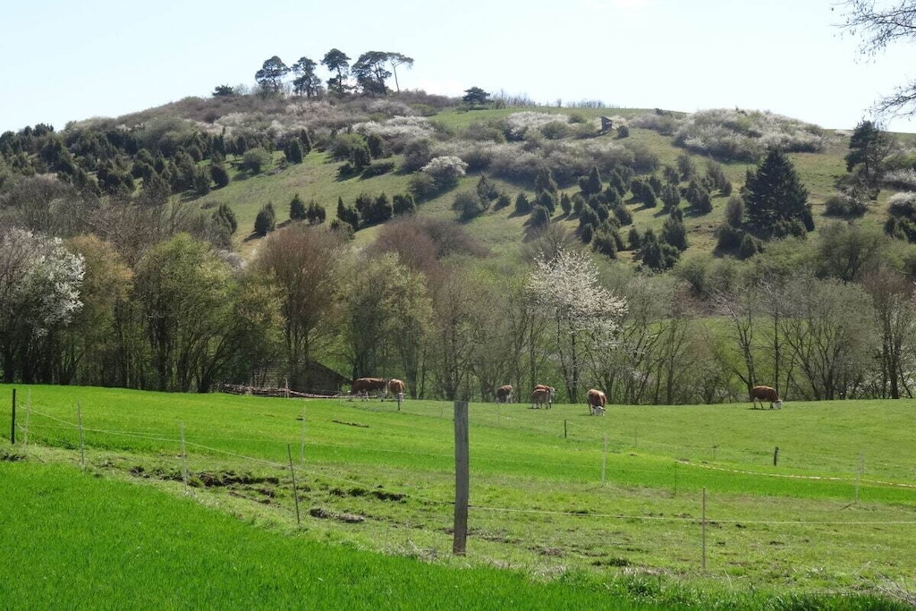 539578 - Nicht zugeordnet