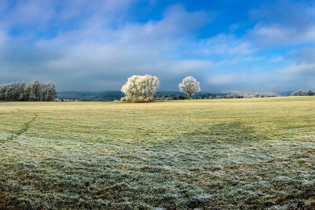 186667 - Non tagué
