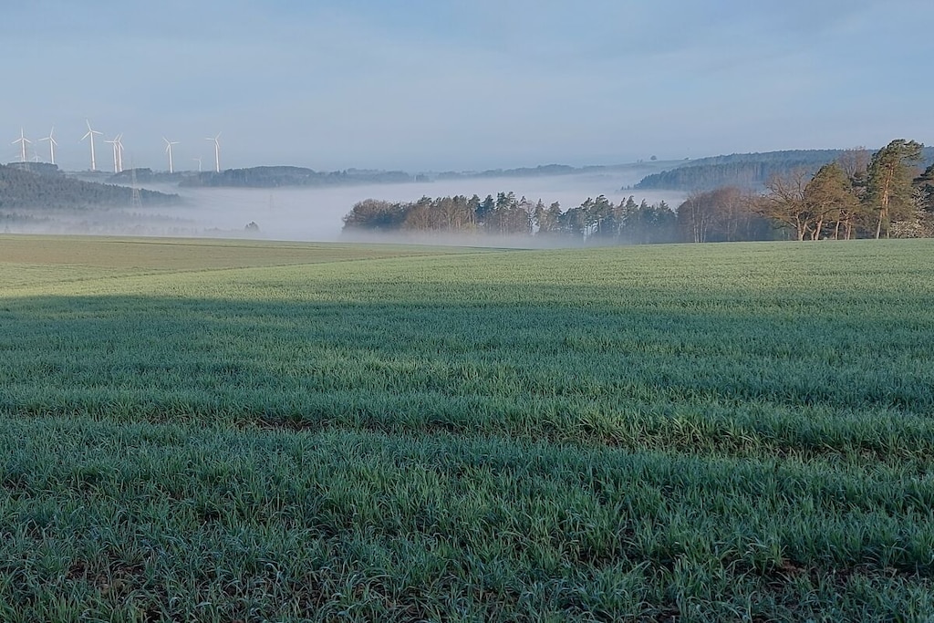 186667 - Non tagué