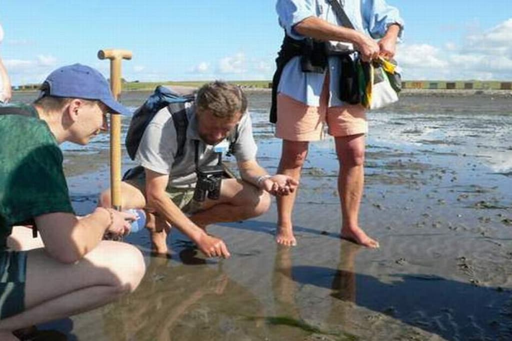 221434 - Non tagué