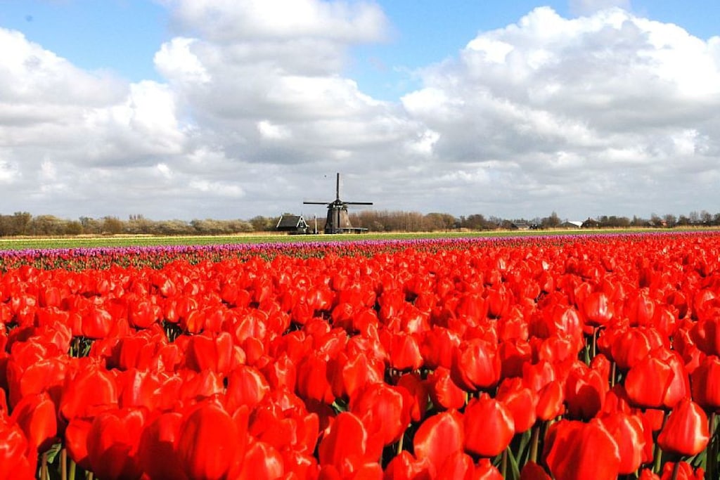 129893 - Niet-getagd