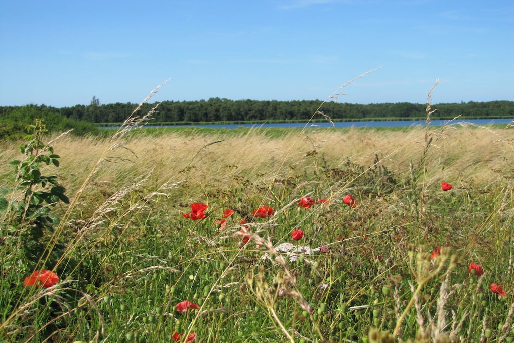 162754 - Niet-getagd