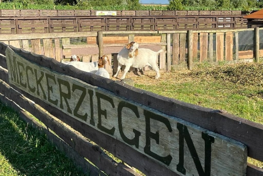 162754 - Niet-getagd