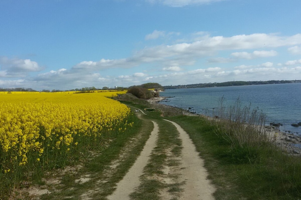 258306 - Untagged