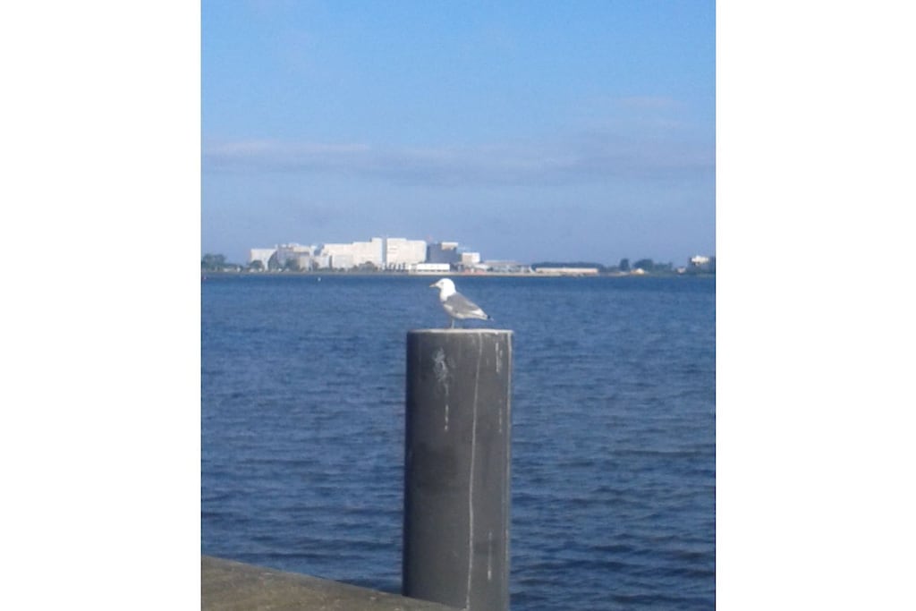 177049 - Niet-getagd