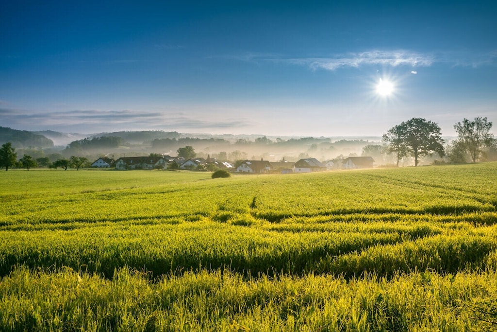 262244 - Niet-getagd