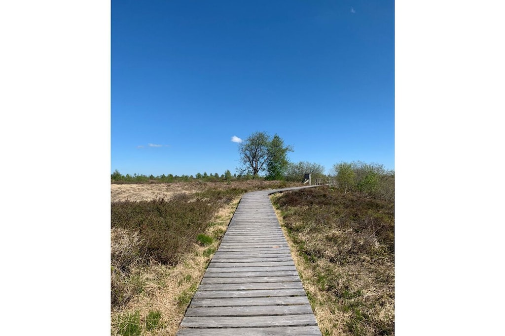 56463 - Niet-getagd