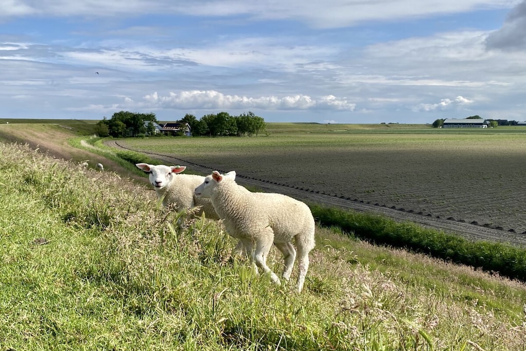 376393 - Niet-getagd