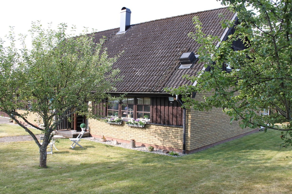 183343 - Niet-getagd