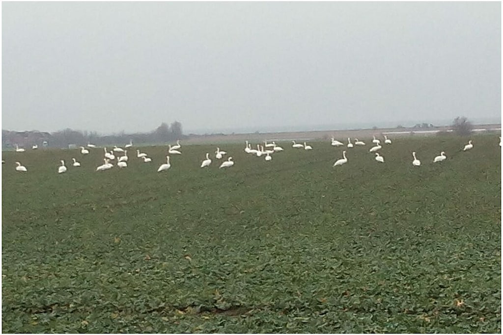 292415 - Niet-getagd