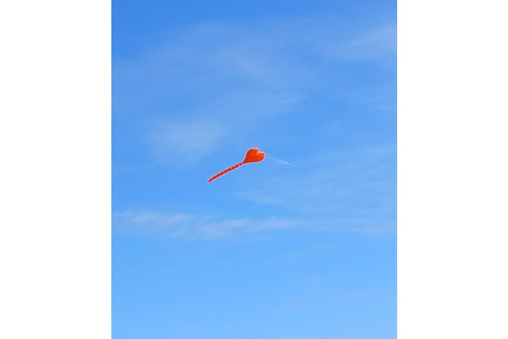 772529 - Untagged