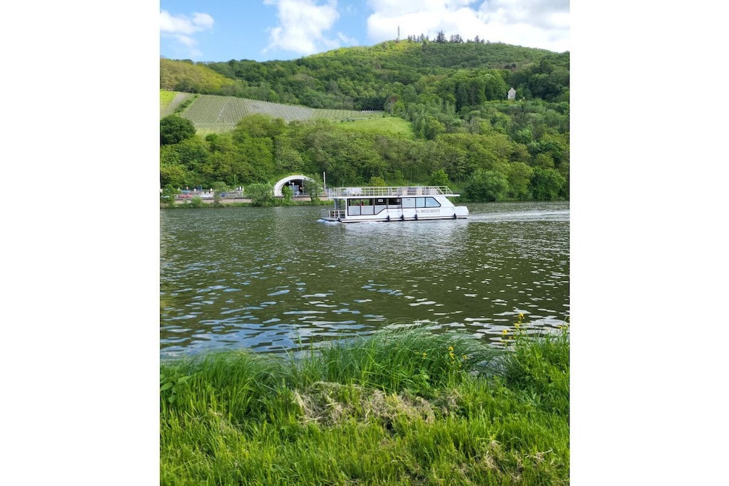 484229 - Non tagué
