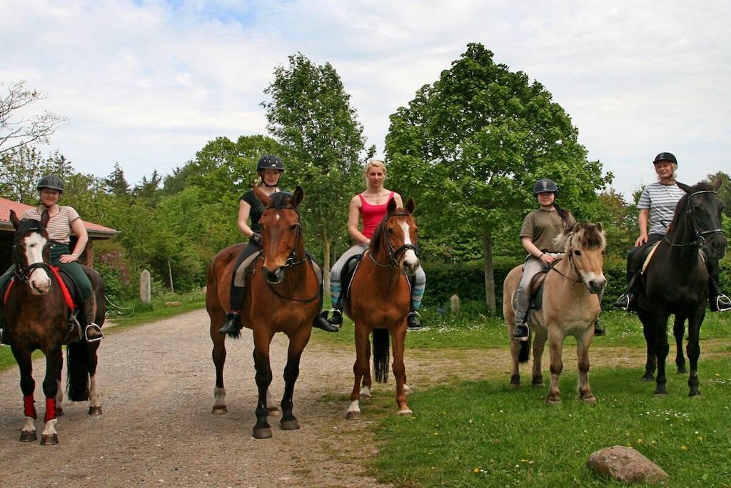 12762 - Niet-getagd