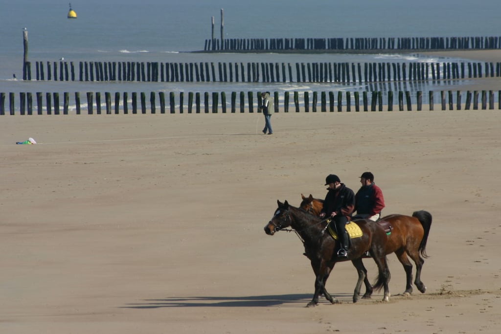 73813 - Niet-getagd