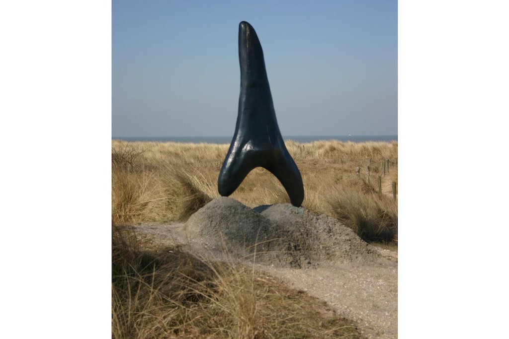 73813 - Niet-getagd