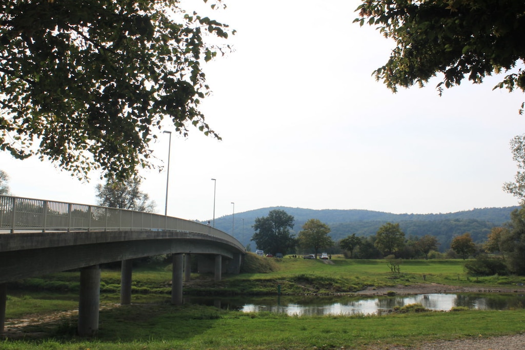 79691 - Niet-getagd