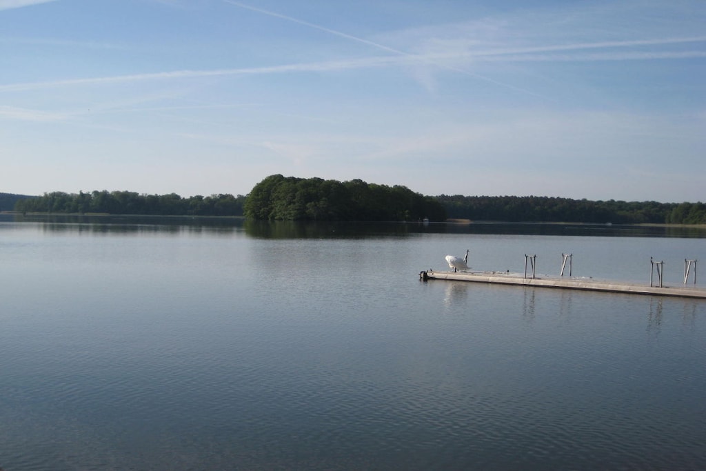 31685 - Niet-getagd
