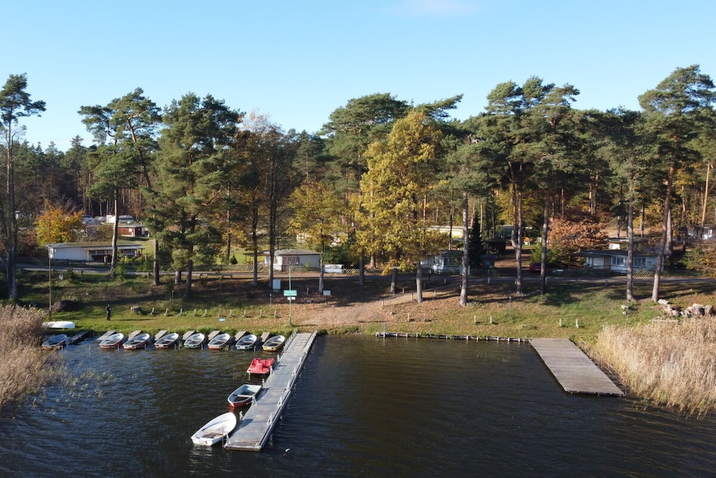 31685 - Niet-getagd