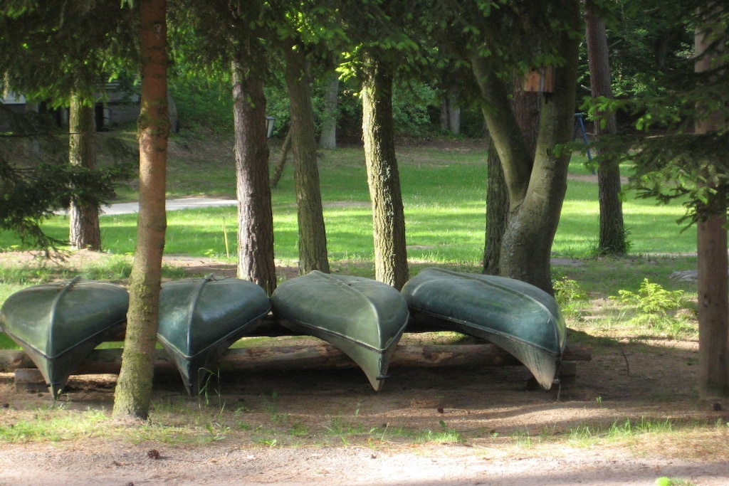 31685 - Niet-getagd