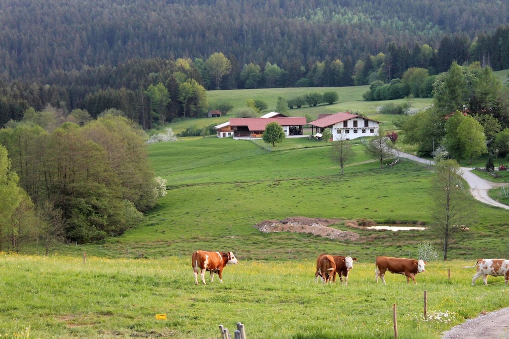 55141 - Nicht zugeordnet