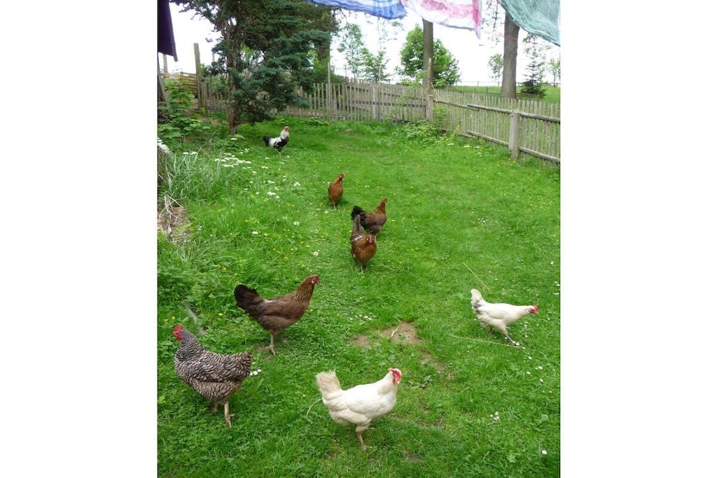 14814