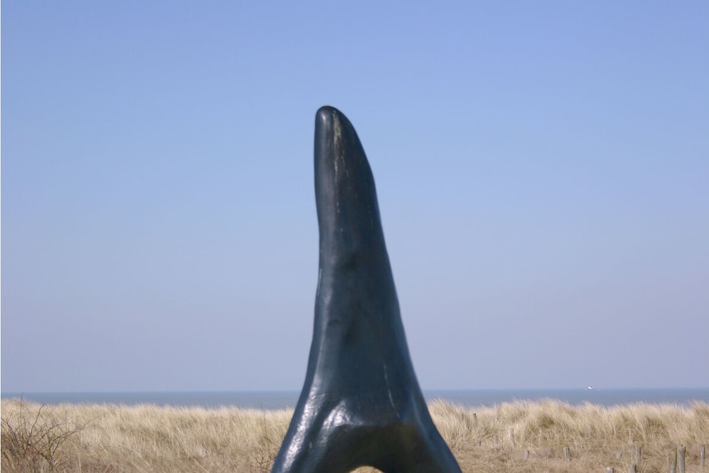 451888 - Niet-getagd