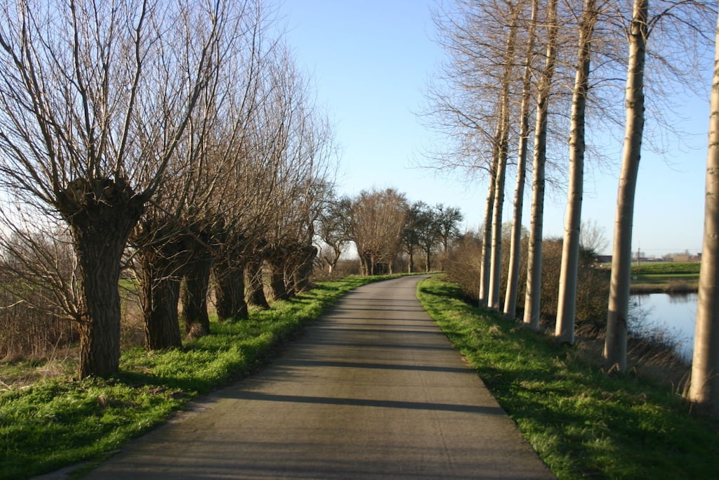 254839 - Non tagué
