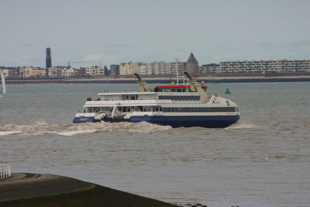 254839 - Non tagué
