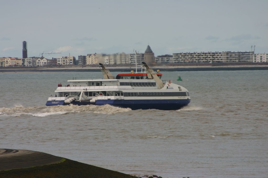 254832 - Non tagué