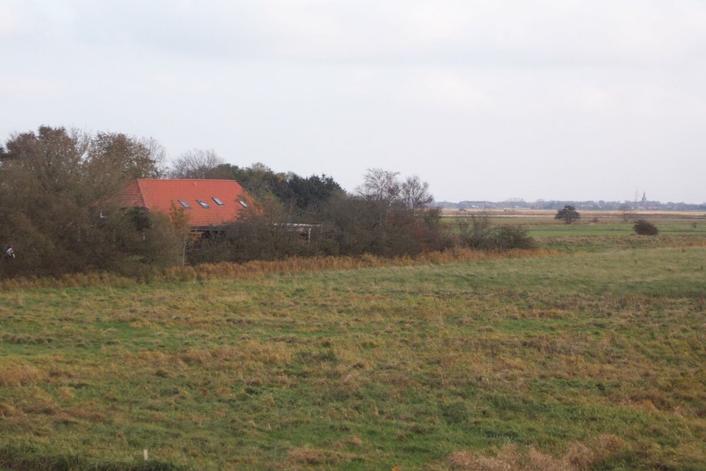 65070 - Non tagué