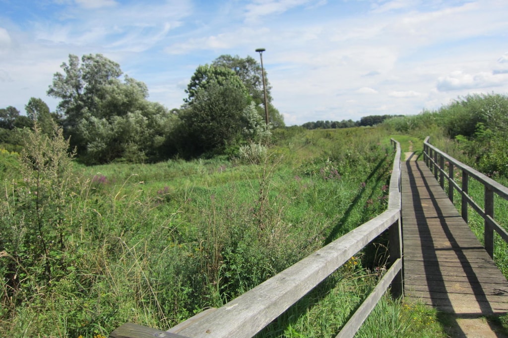 91696 - Niet-getagd