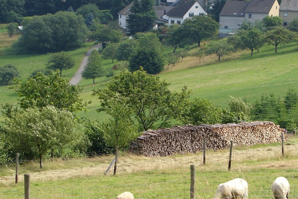 23417 - Niet-getagd
