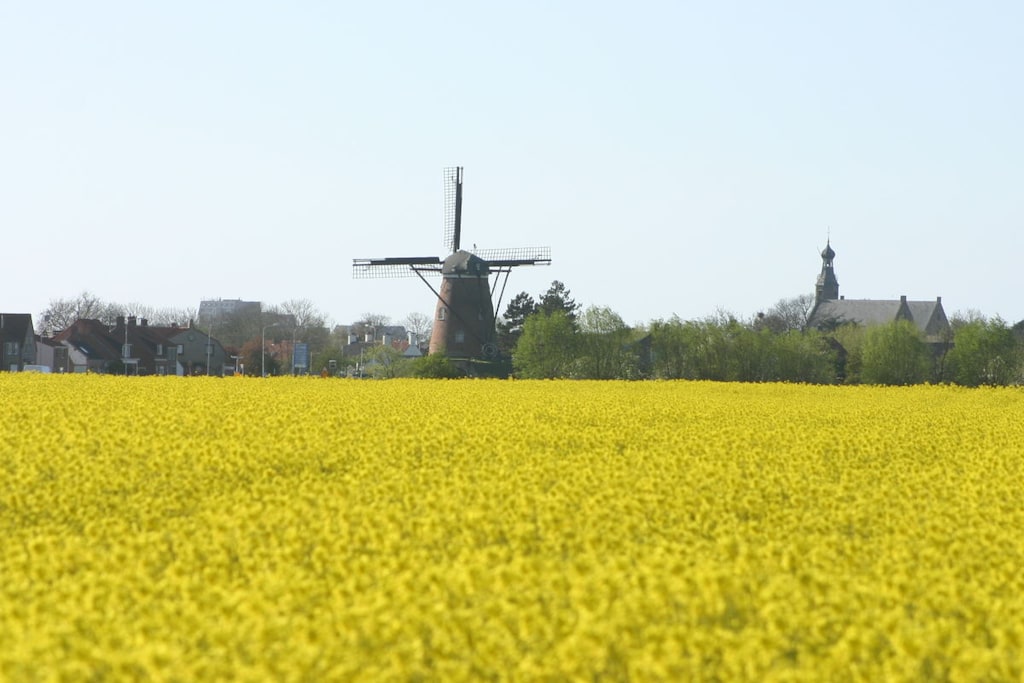 254910 - Niet-getagd